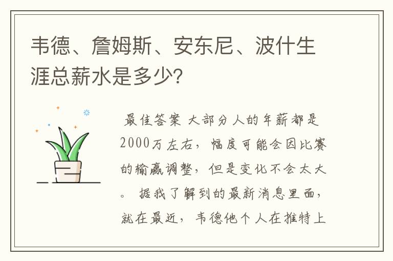 韦德、詹姆斯、安东尼、波什生涯总薪水是多少？