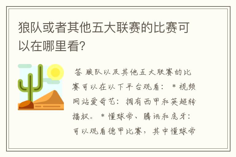 狼队或者其他五大联赛的比赛可以在哪里看?