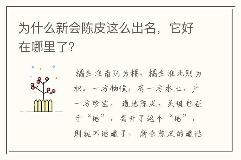 为什么新会陈皮这么出名,它好在哪里了?