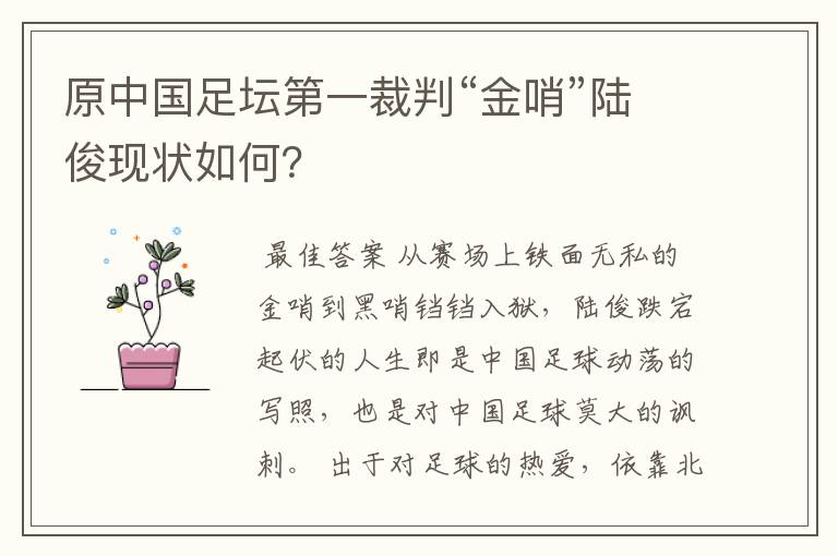 原中国足坛第一裁判“金哨”陆俊现状如何?