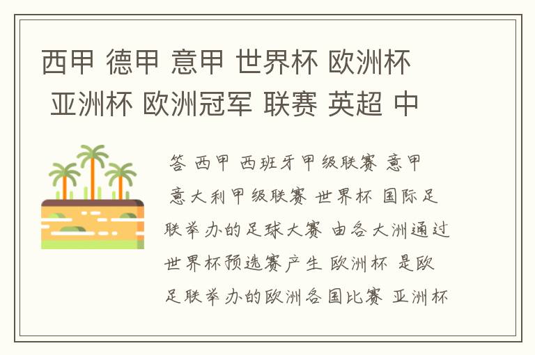 西甲 德甲 意甲 世界杯 欧洲杯 亚洲杯 欧洲冠军 联赛 英超 中超 分别是什么意思啊?