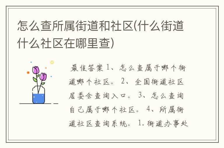 怎么查所属街道和社区(什么街道什么社区在哪里查)