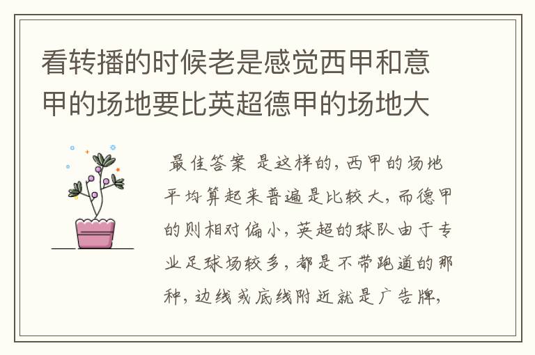 看转播的时候老是感觉西甲和意甲的场地要比英超德甲的场地大很多,