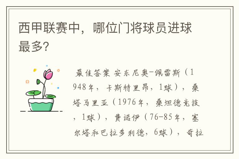 西甲联赛中,哪位门将球员进球最多?