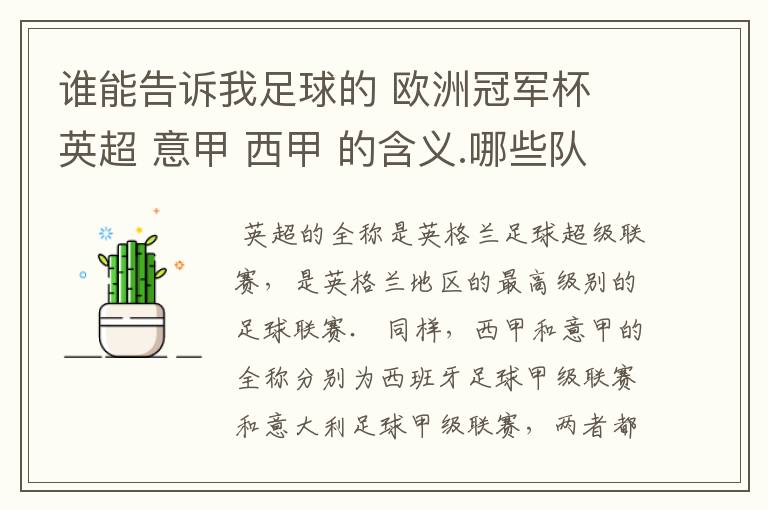 谁能告诉我足球的 欧洲冠军杯 英超 意甲 西甲 的含义.哪些队 怎么进行比赛的.