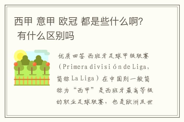 西甲 意甲 欧冠 都是些什么啊? 有什么区别吗