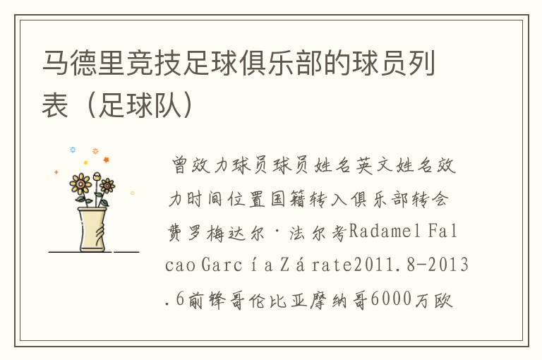 马德里竞技足球俱乐部的球员列表(足球队)