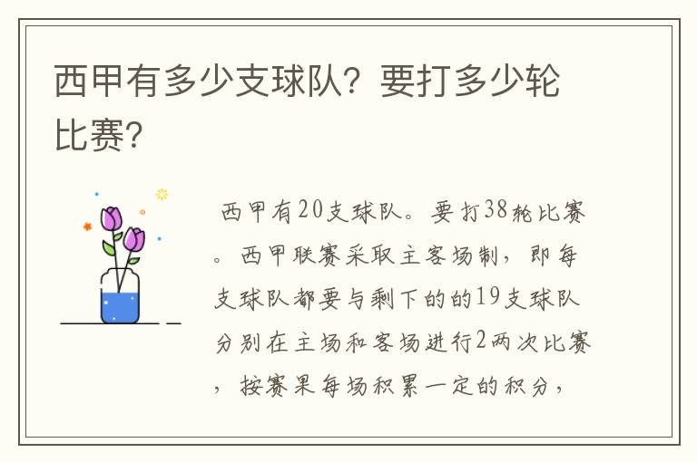 西甲有多少支球队?要打多少轮比赛?