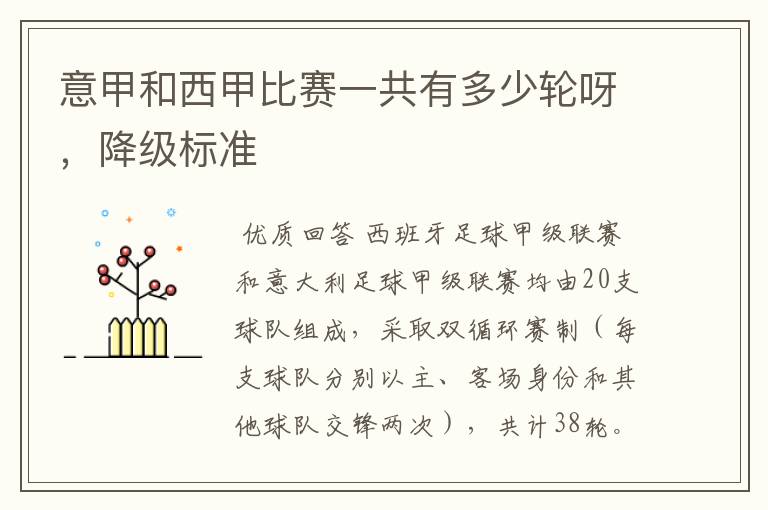 意甲和西甲比赛一共有多少轮呀,降级标准