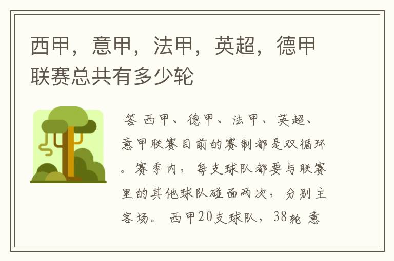 西甲,意甲,法甲,英超,德甲联赛总共有多少轮