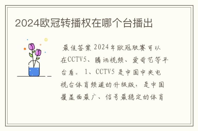 中国哪一年转播西甲的电影.中国西甲转播电视台