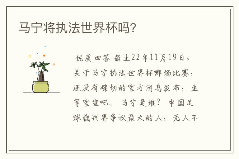 马宁将执法世界杯吗?