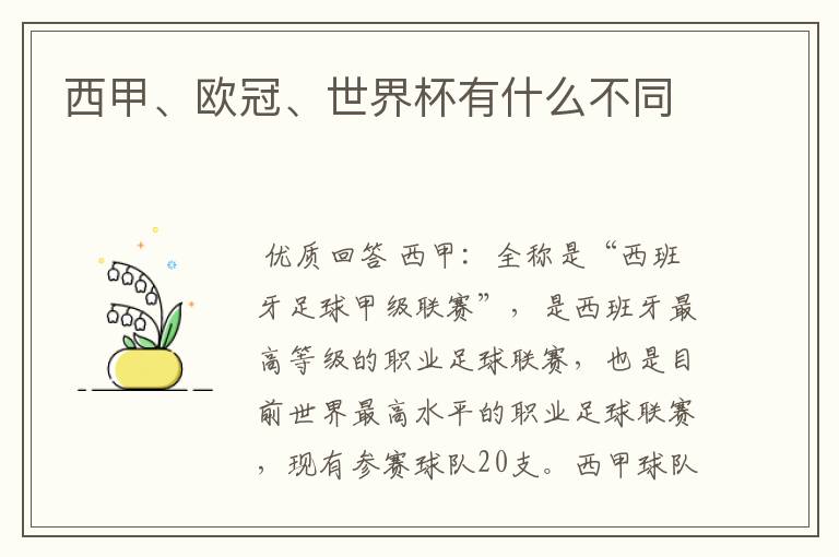 西甲、欧冠、世界杯有什么不同