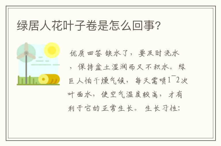 绿居人花叶子卷是怎么回事?
