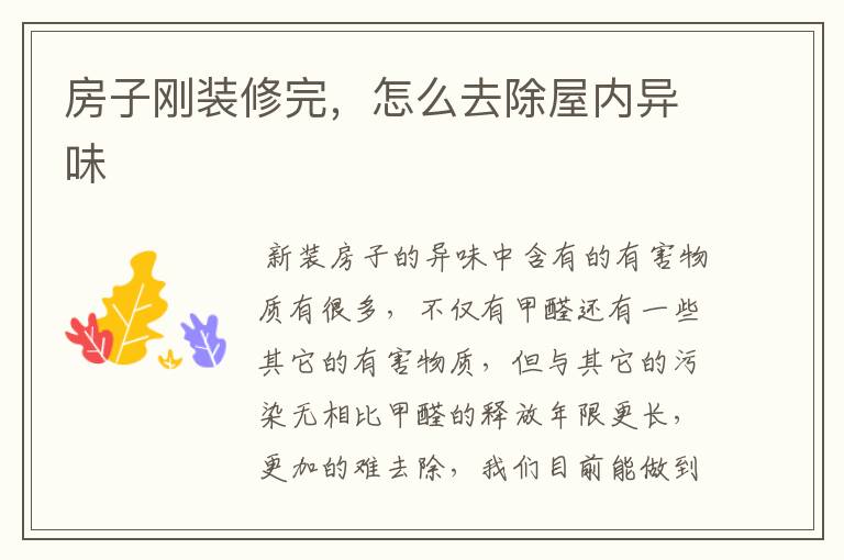 房子刚装修完,怎么去除屋内异味