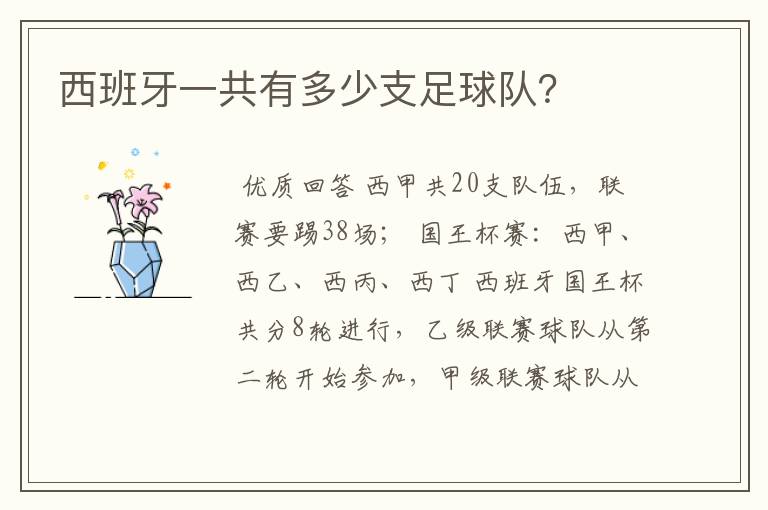 西班牙一共有多少支足球队?