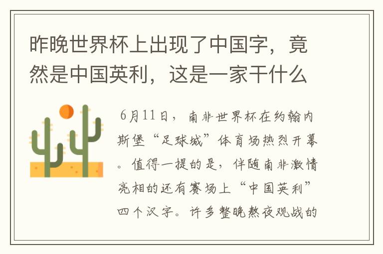昨晚世界杯上出现了中国字,竟然是中国英利,这是一家干什么的公司啊?