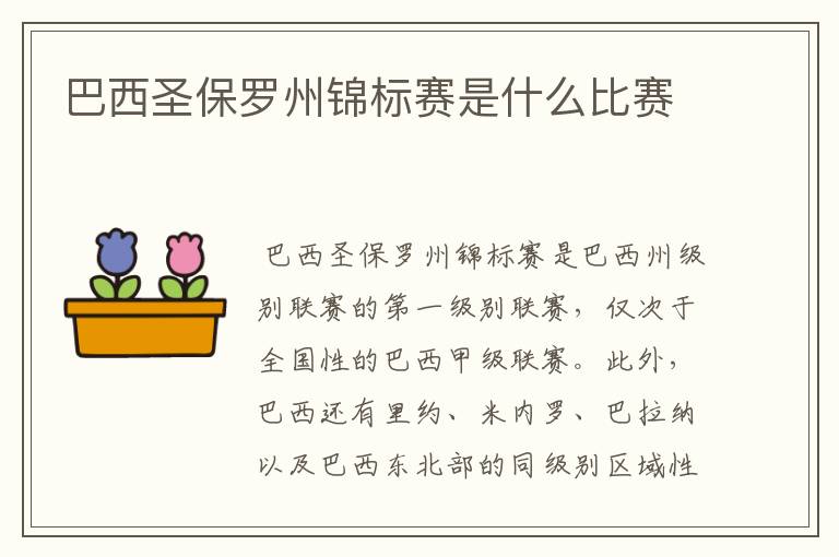 巴西圣保罗州锦标赛是什么比赛