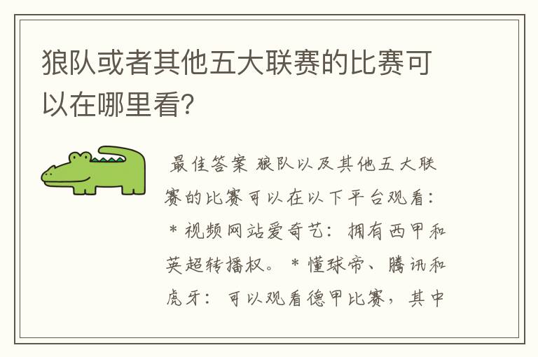 狼队或者其他五大联赛的比赛可以在哪里看?