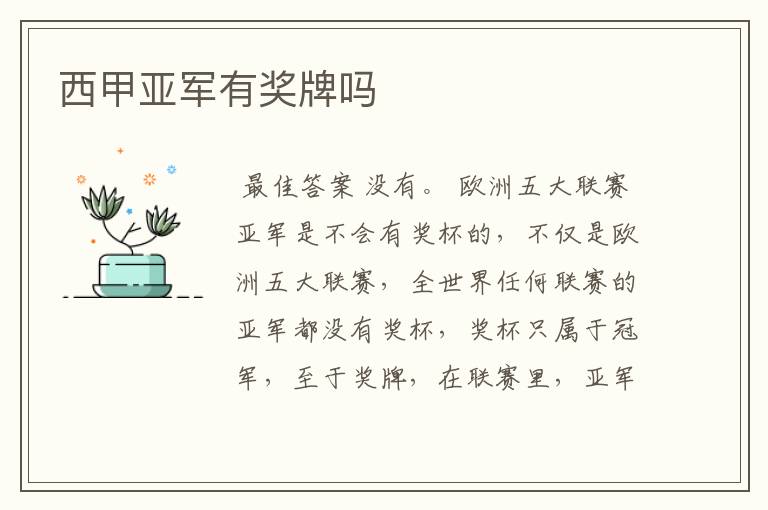 西甲亚军有奖牌吗