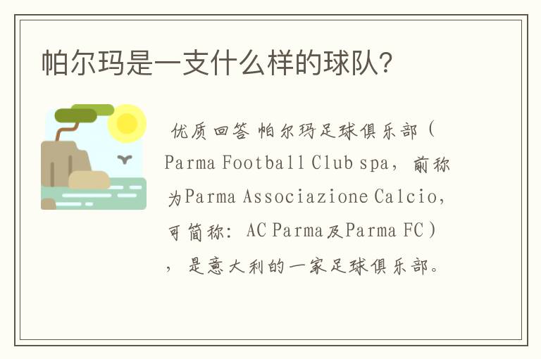 帕尔玛是一支什么样的球队?
