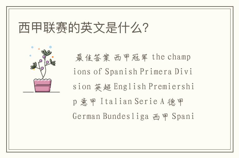 西甲联赛的英文是什么?
