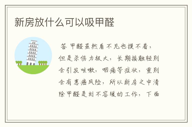 新房放什么可以吸甲醛