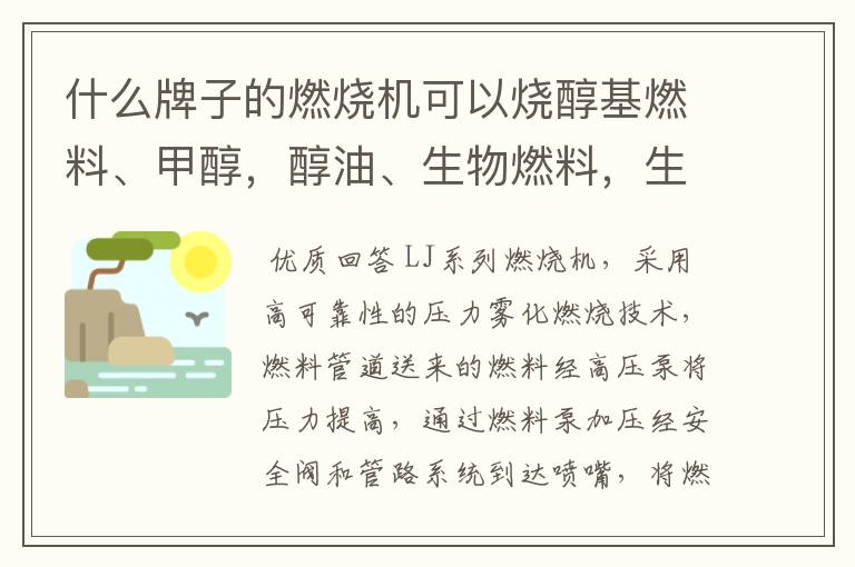 什么牌子的燃烧机可以烧醇基燃料、甲醇,醇油、生物燃料,生物柴油,乙醇,柴油,废油、轮胎油?