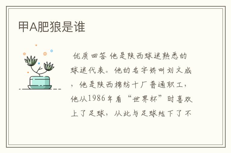 甲A肥狼是谁