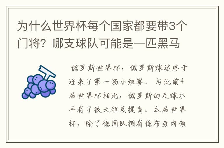 为什么世界杯每个国家都要带3个门将?哪支球队可能是一匹黑马?