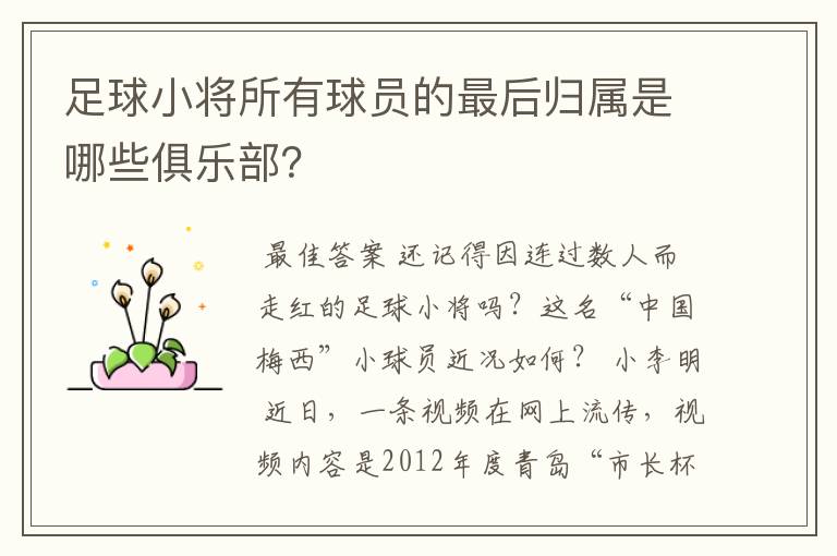 足球小将所有球员的最后归属是哪些俱乐部?