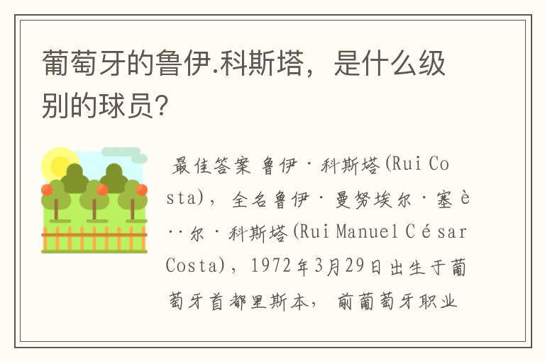 葡萄牙的鲁伊.科斯塔,是什么级别的球员?