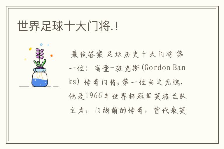 世界足球十大门将.!