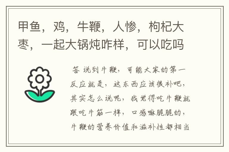 甲鱼,鸡,牛鞭,人惨,枸杞大枣,一起大锅炖咋样,可以吃吗?