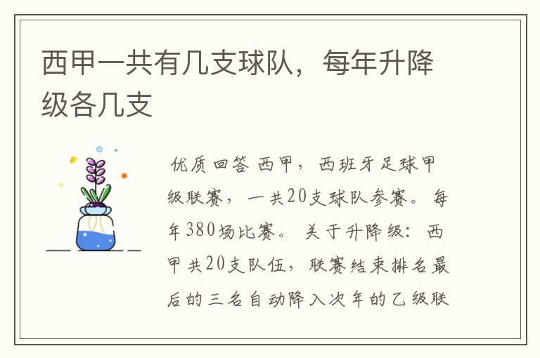 西甲一共有几支球队,每年升降级各几支