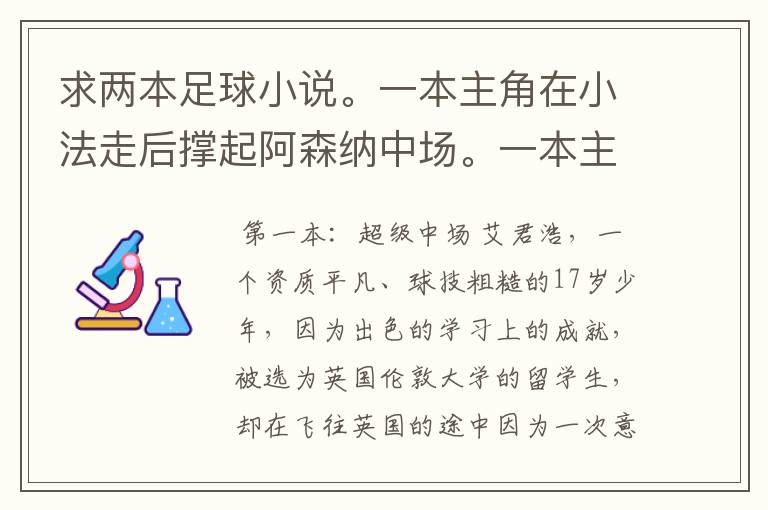 求两本足球小说。一本主角在小法走后撑起阿森纳中场。一本主角在皇马,和大牌关系很好,鸟叔也很照顾他。