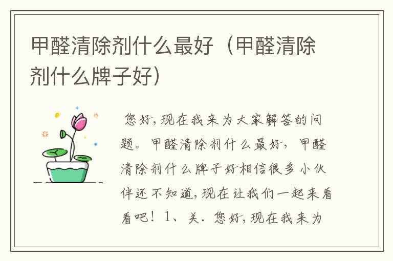 甲醛清除剂什么最好(甲醛清除剂什么牌子好)