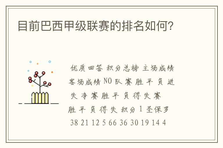 目前巴西甲级联赛的排名如何?