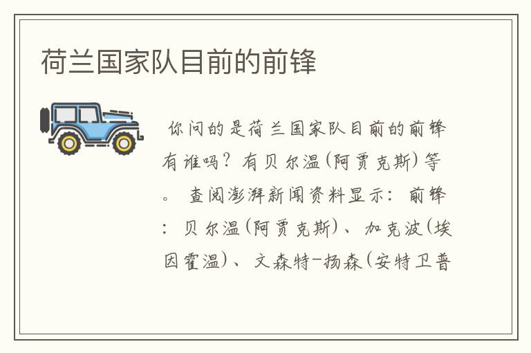 荷兰国家队目前的前锋