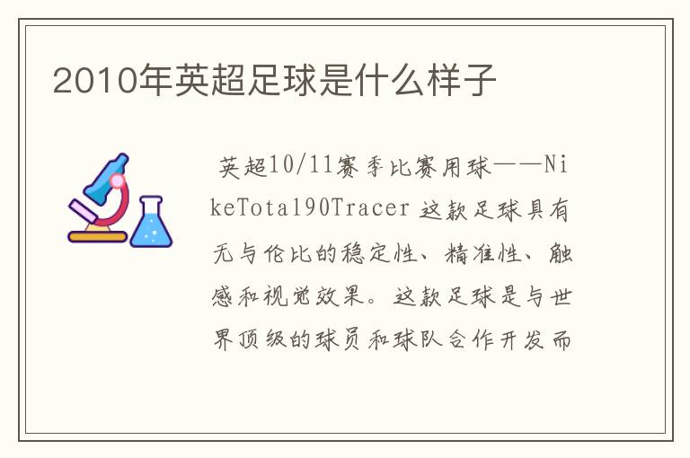 2010年英超足球是什么样子