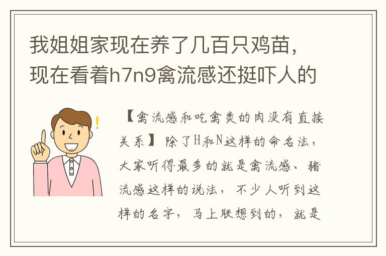 我姐姐家现在养了几百只鸡苗,现在看着h7n9禽流感还挺吓人的,怎么预防捏,我姐姐他们总是担心