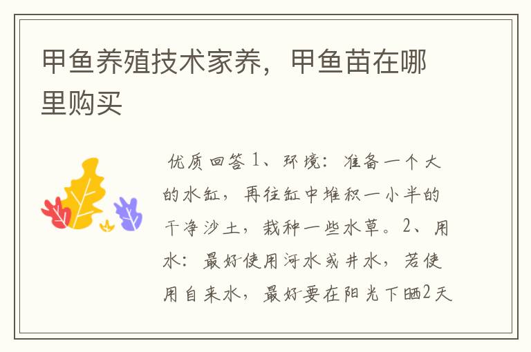 甲鱼养殖技术家养,甲鱼苗在哪里购买