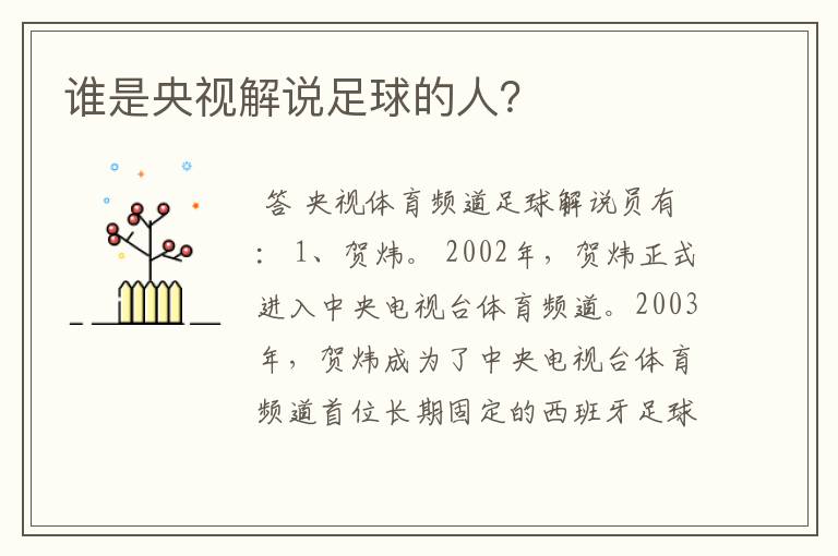 谁是央视解说足球的人?