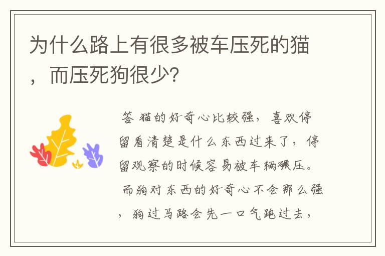 为什么路上有很多被车压死的猫,而压死狗很少?