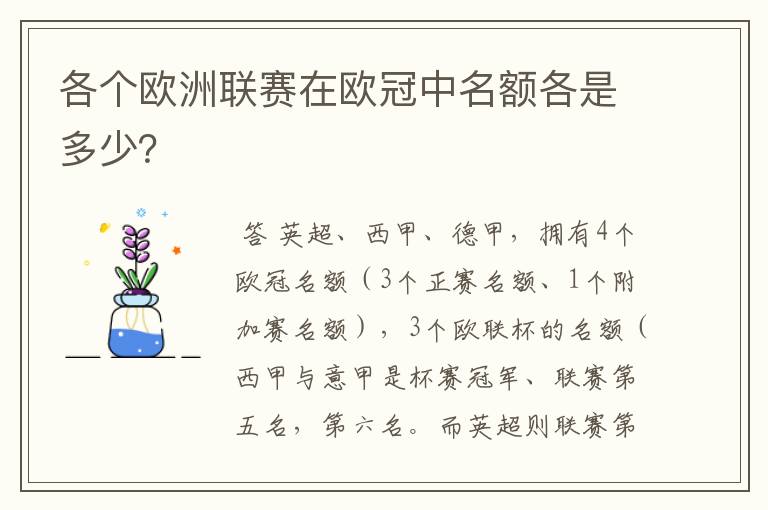 各个欧洲联赛在欧冠中名额各是多少?