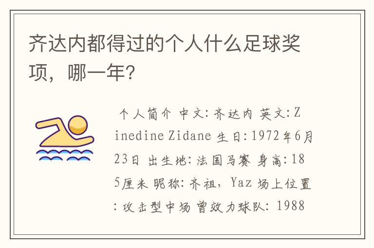 齐达内都得过的个人什么足球奖项,哪一年?