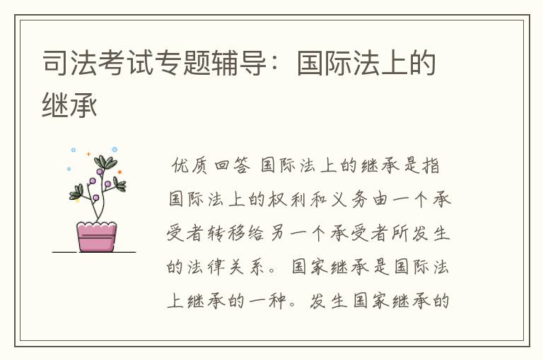 司法考试专题辅导:国际法上的继承