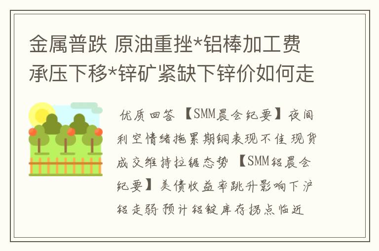金属普跌 原油重挫*铝棒加工费承压下移*锌矿紧缺下锌价如何走?