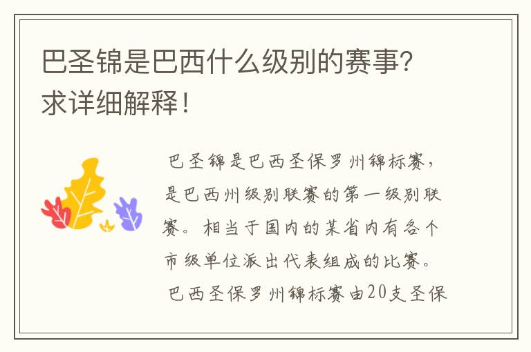 巴圣锦是巴西什么级别的赛事?求详细解释!
