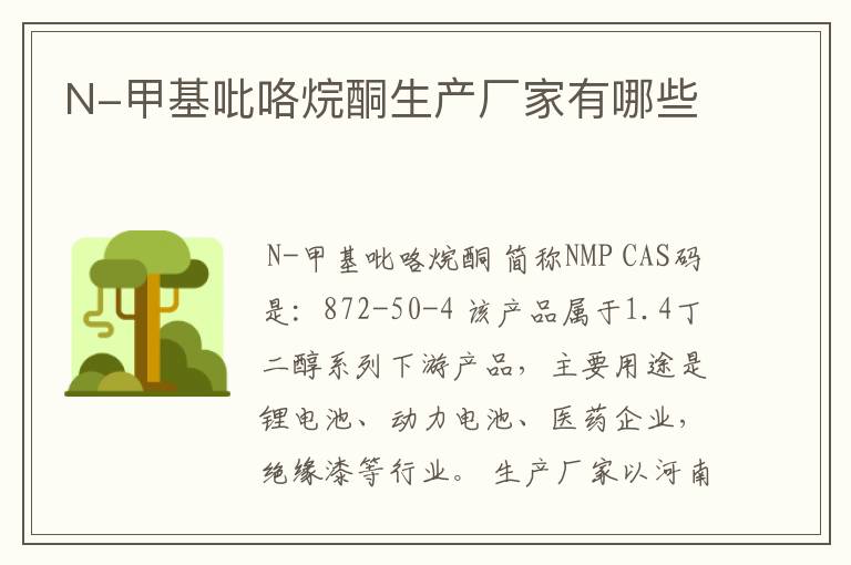 N-甲基吡咯烷酮生产厂家有哪些